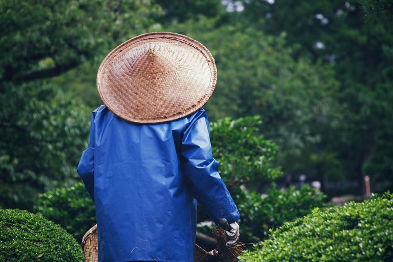 Environmentally Friendly Gardening